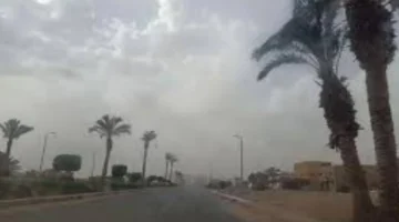 تقلبات جوية مفاجئة.. الأرصاد تحذر من رياح مثيرة للأتربة بمناطق مختلفة غدًا